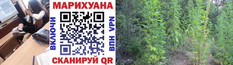 Бошки Шишки конопля Верхоянск